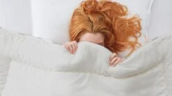 Dekbed Bovenste Beste Wol 4-seizoenen -Bedden Verkoopwinkel Dekbed Bovenste Beste wol 4 seizoenen 2