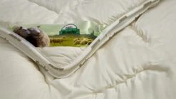 Dekbed Bovenste Beste Wol 4-seizoenen -Bedden Verkoopwinkel Dekbed Bovenste Beste wol 4 seizoenen 3