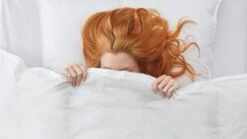 Dekbed Capella 15% Dons 4-seizoenen -Bedden Verkoopwinkel Dekbed Capella 15 dons 4 seizoenen 2