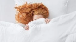 Dekbed Dauna Soft Basic Synthetisch 4-seizoenen -Bedden Verkoopwinkel Dekbed Dauna soft basic synthetisch 4 seizoenen 2