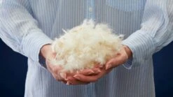 Dekbed Silvana Royale Light 100% Dons Zomer -Bedden Verkoopwinkel Dekbed Gold 90 dons alle seizoenen 4