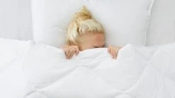 Dekbed Select Synthetisch 4-seizoenen -Bedden Verkoopwinkel Dekbed Select synthetisch 4 seizoenen 2