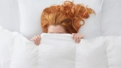 Dekbed Silvana Royale Extra Warm 100% Dons Winter -Bedden Verkoopwinkel Dekbed Silvana Royale Extra Warm 100 dons winter 2