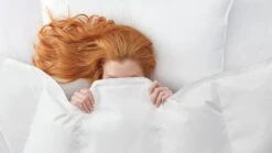 Dekbed Silvana Royale Light 100% Dons Zomer -Bedden Verkoopwinkel Dekbed Silvana Royale Light 100 dons zomer 2