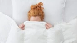 Dekbed Silvana Royale Medium 100% Dons Voor/najaar -Bedden Verkoopwinkel Dekbed Silvana Royale Medium 100 dons voor najaar 2