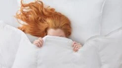 Dekbed Silvana Royale Medium Light 100% Dons Voor/najaar -Bedden Verkoopwinkel Dekbed Silvana Royale Medium Light 100 dons voor najaar 2