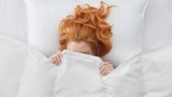 Dekbed Silvana Royale Warm 100% Dons Winter -Bedden Verkoopwinkel Dekbed Silvana Royale Warm 100 dons winter 2