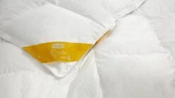 Dekbed Silvana Royale Warm 100% Dons Winter -Bedden Verkoopwinkel Dekbed Silvana Royale Warm 100 dons winter 3