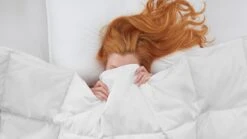 Dekbed Superieur 90% Dons Voor-/najaar -Bedden Verkoopwinkel Dekbed Superieur 90 dons voor najaar 2