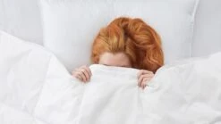 Dekbed Superieur 90% Dons Zomer -Bedden Verkoopwinkel Dekbed Superieur 90 dons zomer 2