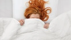 Dekbed Taurus 90% Dons 4-seizoenen -Bedden Verkoopwinkel Dekbed Taurus 90 dons 4 seizoenen 2