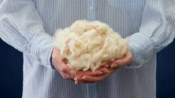 Dekbed Amsterdam Katoen 4-seizoenen -Bedden Verkoopwinkel Dekbed katoen zomer