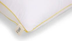 Nieuwe uitgaven -Bedden Verkoopwinkel Hoofdkussen B Bright 3D 1