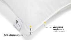 Hoofdkussen B Bright Bamboe -Bedden Verkoopwinkel Hoofdkussen Bamboe 3