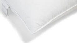 Hoofdkussen Ducky 1700 Gram -Bedden Verkoopwinkel Hoofdkussen Ducky 1700 gram 3