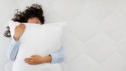 Hoofdkussen Duurzaam Driekamer Dons