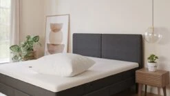 Hoofdkussen Emma Essential -Bedden Verkoopwinkel Hoofdkussen Essential 3