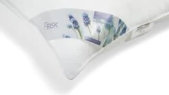 Hoofdkussen Frisk -Bedden Verkoopwinkel Hoofdkussen Frisk 3