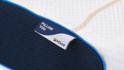 Hoofdkussen Pillow You Blauw 7 Hoofdkussen Pillow You Blauw -Bedden Verkoopwinkel Hoofdkussen Pillow You Blauw 2