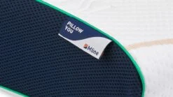 Hoofdkussen Pillow You Groen 7 Hoofdkussen Pillow You Groen -Bedden Verkoopwinkel Hoofdkussen Pillow You Groen 2