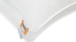 Hoofdkussen Pure Basic -Bedden Verkoopwinkel Hoofdkussen Pure basic 3