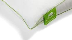 Hoofdkussen Silvana Comfort Groen -Bedden Verkoopwinkel Hoofdkussen Silvana Comfort Groen 3