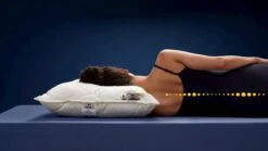 Hoofdkussen Soezzz Perfection Deluxe -Bedden Verkoopwinkel Hoofdkussen Soezzz Perfection Deluxe off white 2