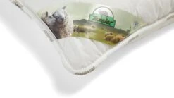 Hoofdkussen Soezzz Perfection Deluxe -Bedden Verkoopwinkel Hoofdkussen Soezzz Perfection Deluxe off white 3