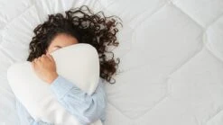 Nieuwe uitgaven -Bedden Verkoopwinkel TEMPUR hoofdkussen Symphony medium 1